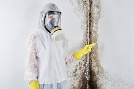 Best Comprehensive Air Testing for Mold Contaminants in USA